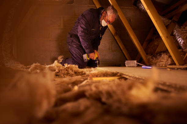 Best Residential Insulation in Doylestown, OH